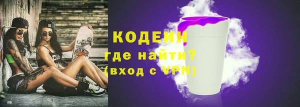 гашик Дмитровск