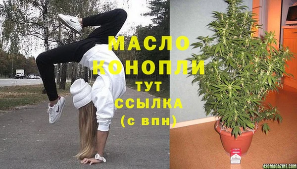 экстази Гусев