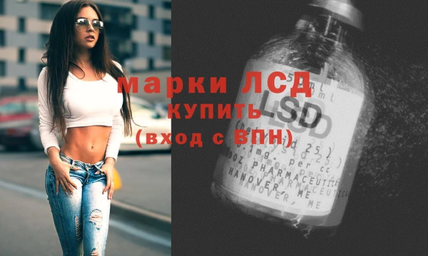 гашик Дмитровск