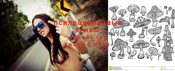 экстази Гусев