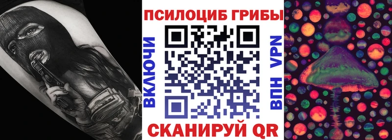 Псилоцибиновые грибы Cubensis  Купить где  Елабуга 